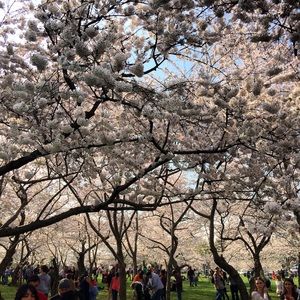 Meet your Posher, Meredith